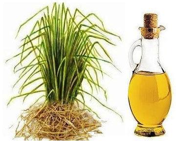 Vetiver Essential Oil, Form : Liquid