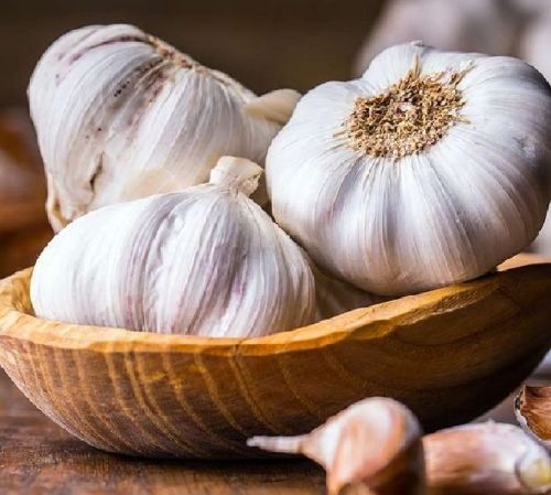 Organic Fresh Garlic, For Cooking, Style : Natural