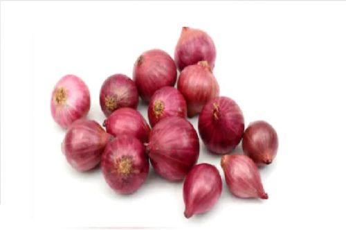 Fresh Red Onion, Shelf Life : 7-15days