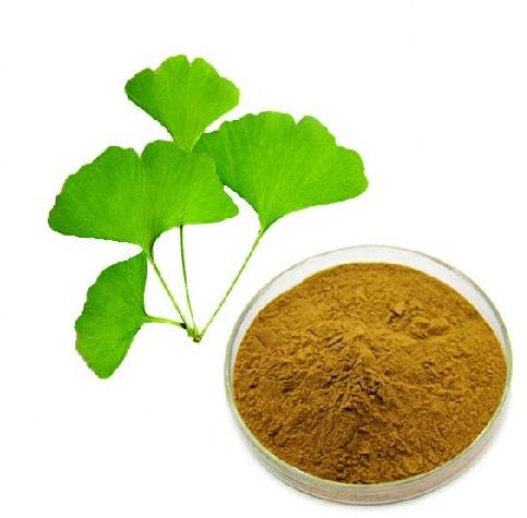 24% Flavonoids 6% Lactones 5ppm Ginkgo Biloba Leaf Extract Powder