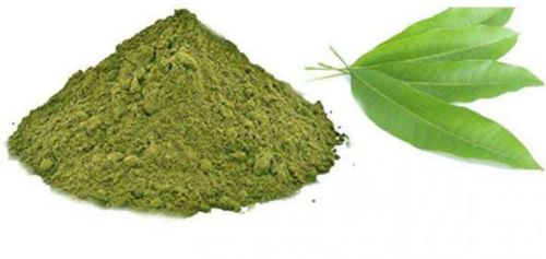 Organic Mango Leaf Powder, Certification : FSSAI