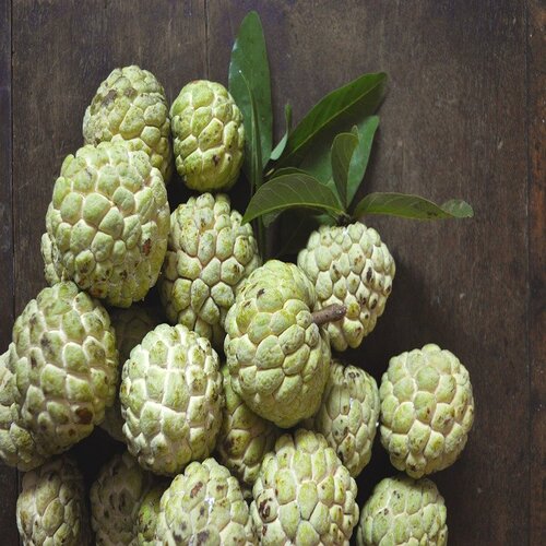 Golden Custard Apple, Shelf Life : 1Year, 3Monts