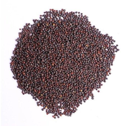 Mustard Seeds, Packaging Type : Plastic Packet