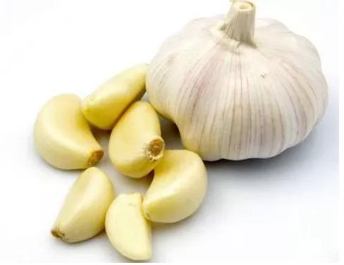 Natural Fresh Garlic, For Cooking, Fast Food, Snacks, Feature : Dairy Free