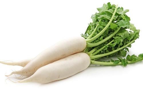 Natural Fresh Radish, For Human Consumption, Packaging Type : Jute Bag