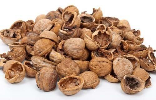 Common Walnut Shell, Packaging Type : PP Bags