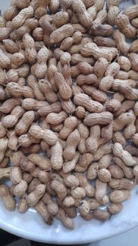 Raw Java Peanuts, For Direct Consumption, Feature : Long Shelf Life