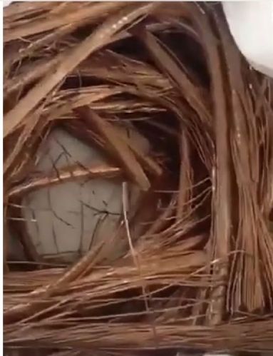 Copper wire scrap, Packaging Type : bronze