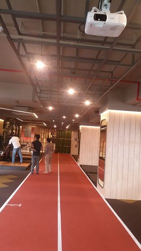 Sai Enterprise Steel Coffee Shop Container, Size : 20/10/8.6