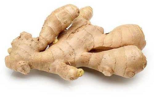 Fresh Ginger, For Cooking, Cosmetic Products, Medicine, Packaging Type : Gunny Bags, Jute Bags, Loose