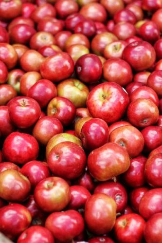 Apples, Color : Red