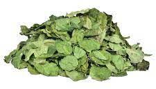 Organic Dried Moringa Leaves, For Medicine, Feature : Insect Free