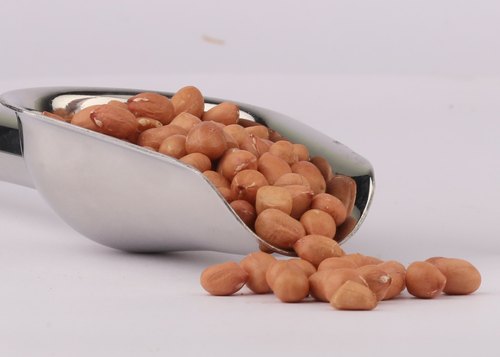 Organic Raw Groundnut, Packaging Type : Loose