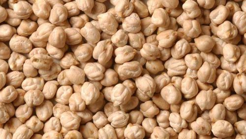 Natural White Chickpeas, Size : 4-6mm