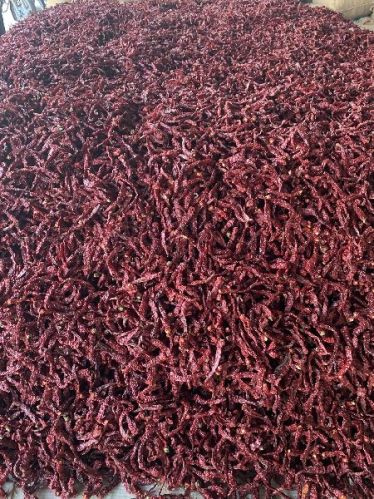 SNL Natural Stemless Byadgi Chilly, Packaging Type : Plastic Packet