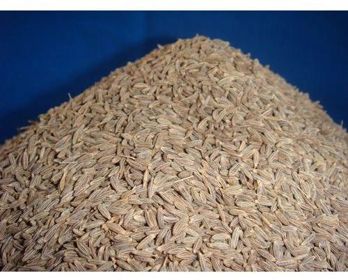 Organic Cumin Seeds, For Cooking, Packaging Size : 1 Kg