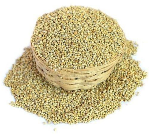 Organic Green Millets, For Gluten Free, Packaging Type : Loose