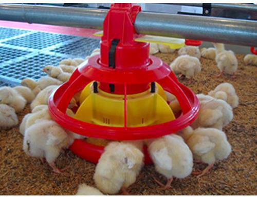 Plastic Poultry Feeder, Capacity : 100kg/HR