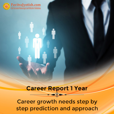 Career Report 1 Year