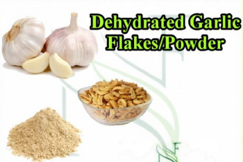 Flakes Natural Dehydrated Garlic Powder, For Cooking, Spices, Food Medicine, Cosmetics, Packaging Size : 50gm