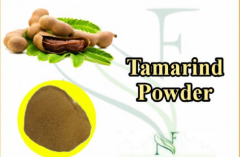 Spray Dried Tamarind Powder, Grade : Premium