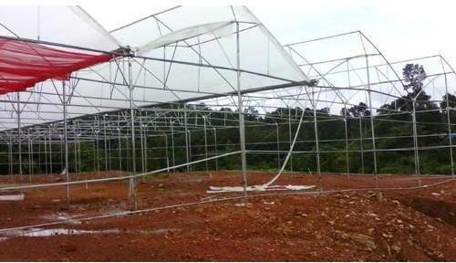 Floriculture Services