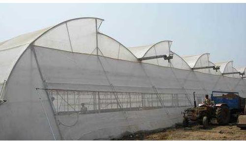 Naturally Ventilated Polyhouse, For Agricultural