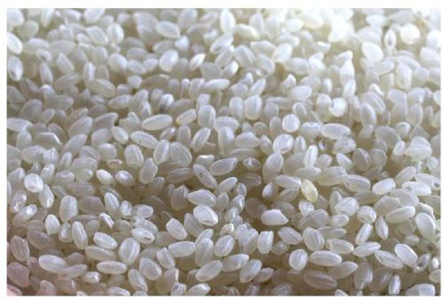 Top Selling Short Grain Rice Manufacture, Color : White