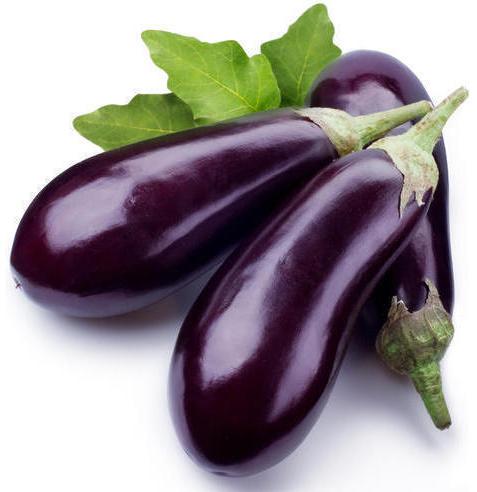 Organic Fresh Brinjal, Color : Voilet