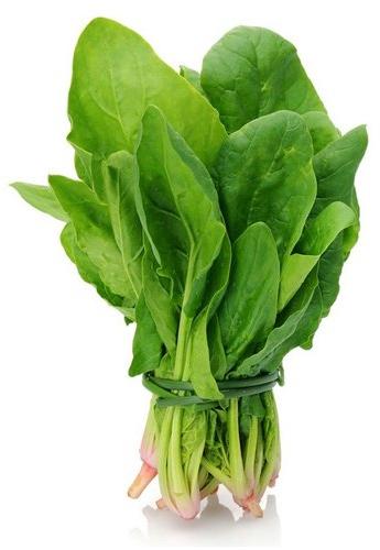 Organic Fresh Spinach, For Good Nutritions, Good Health, Packaging Type : Plastic Packet