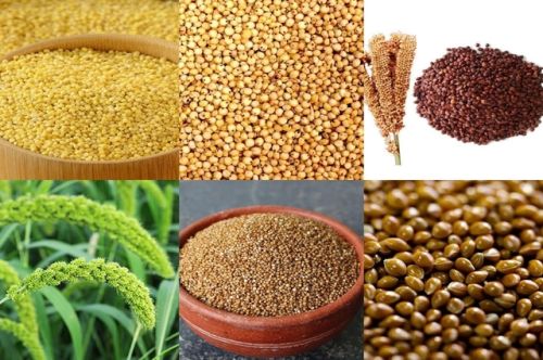 Natural Pulses, For Cooking, Packaging Type : Plastic Pouch, Plastic Packet