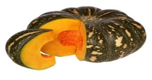 Natural Sweet Pumpkin, Style : Fresh