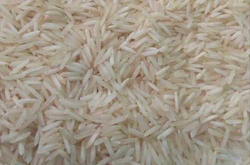 Common Sharbati Non Basmati Rice, For High In Protein, Variety : Long Grain