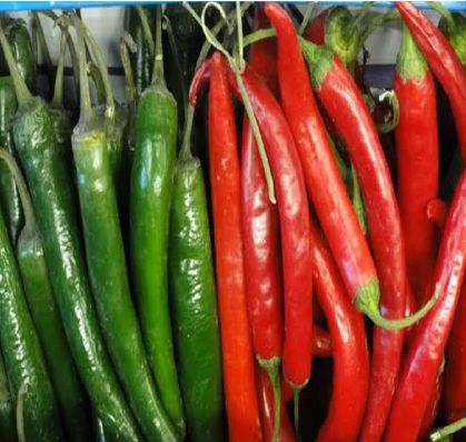 Organic Fresh Chilli, For Human Consumption, Cooking, Certification : FSSAI Certified