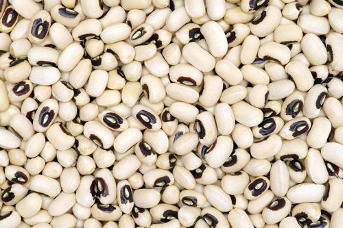 Common Black Eyed Beans, Pea, For Snacks, Style : Dried