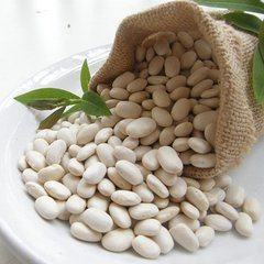 Common White Kidney Beans, For Cooking, Style : Dried