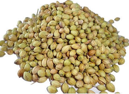 Organic Coriander Seeds, For Cooking, Certification : FSSAI Certified