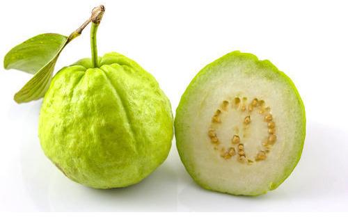 Fresh Guava, Color : Green