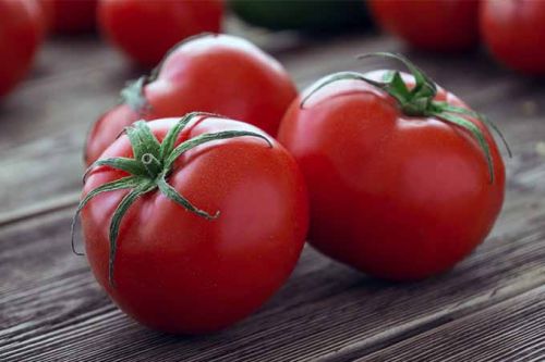 Organic Fresh Tomato, Style : Natural