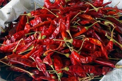 Dry Red Chilli