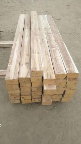 American Teak Wood Logs