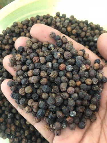 Bold Natural Black Pepper, For Spices, Packaging Type : Plastic Pouch, Plastic Box