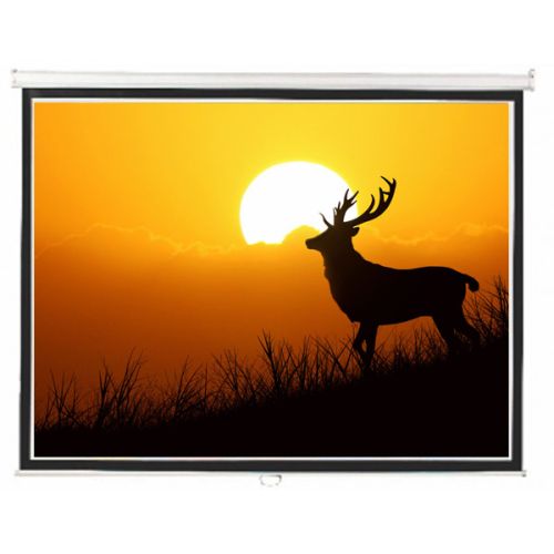 Liberty Instalock Projector Screen, Mount Type : Wall Mount