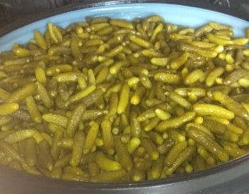 Buyer Seasoned Organic Gherkins 160/300 12 Months Barrels, Certification : Iso Certified, Haccp