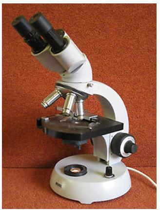 Binocular Microscope