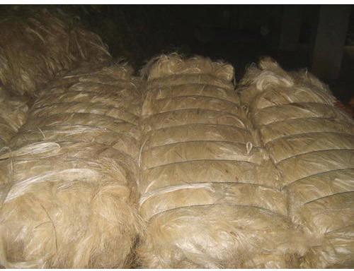 Sisal Natural Fibre, For Making Bags, Packaging Type : Roll