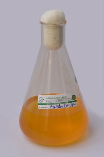 Acetobacter Bio Fertilizer, For Agriculture, Soil Application, Soil Conditioner
