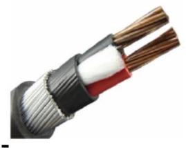 2 Core Armoured Cable