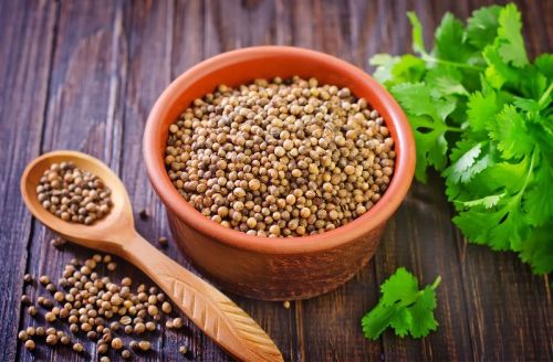 Organic Coriander Seeds, Certification : FSSAI Certified