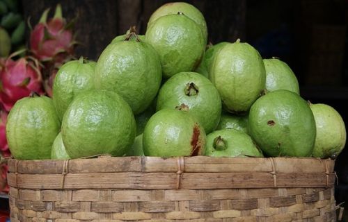 Organic Fresh Guava